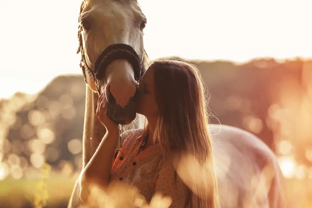 How Do You Know If a Horse Likes You?