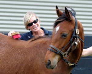 how to tell if a horse likes you