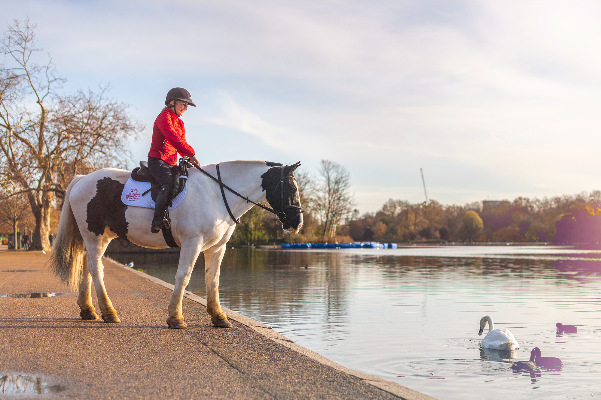 Horse Riding in London A Guide to Exploring the City on Hooves