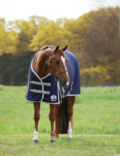 How to Measure a Horse for a Blanket A Comprehensive Guide