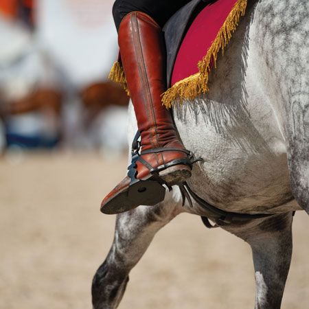 Is Riding a Horse Cruel?
