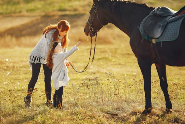 Unlock the Signs: Master How to Tell If a Horse Is Uncomfortable with You