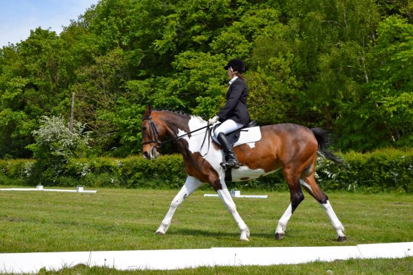 Uncover the Safety Secrets: Why Mounting Horses from the Left Side is Essential